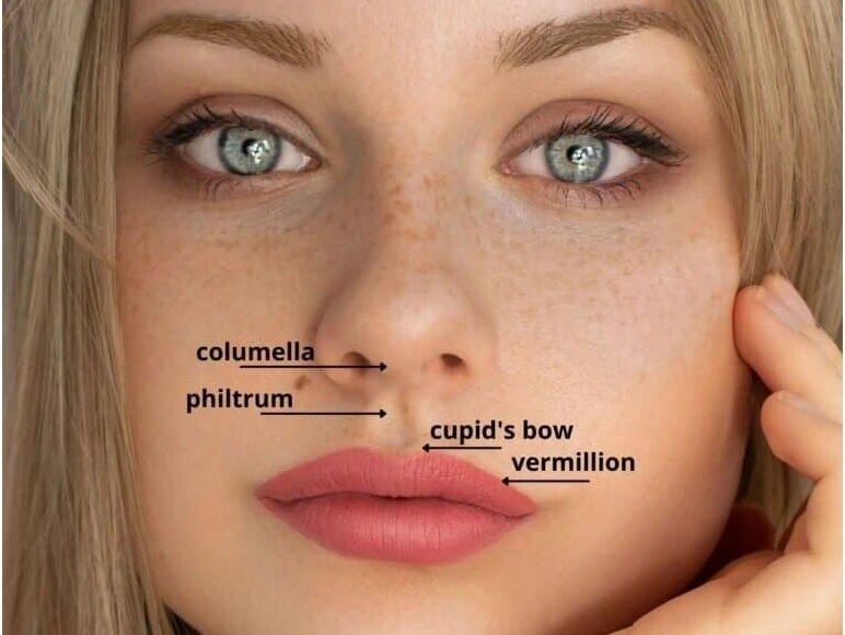 Bullhorn Lip Lift in Riyadh | Saudi Arabia 6 Bullhorn Lip Lift Cost in Riyadh